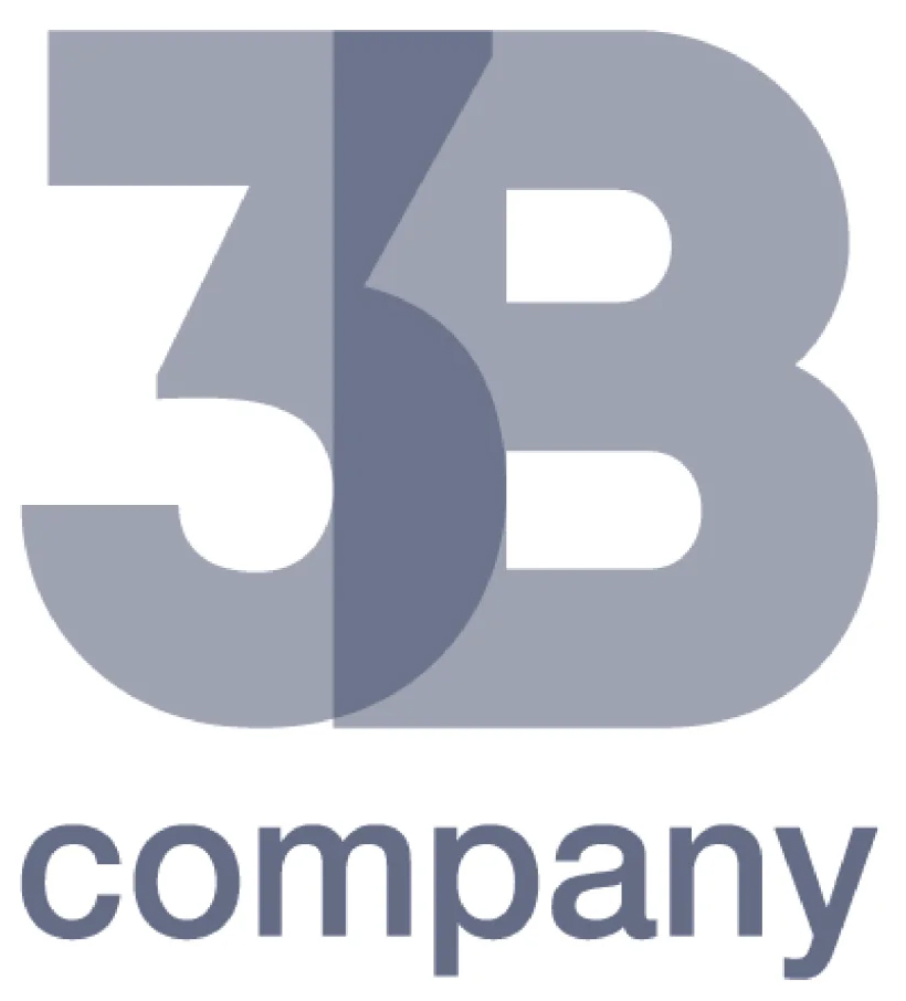 3B company