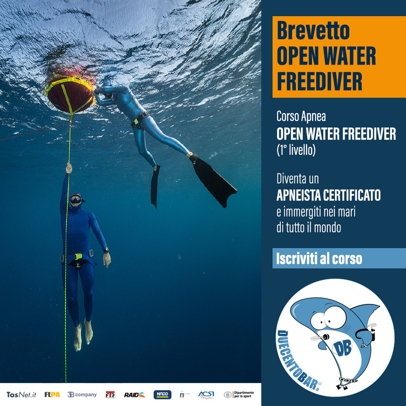CORSO APNEA (OPEN WATER FREEDIVER)