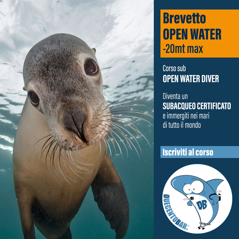 CORSO SUB OPEN WATER 20