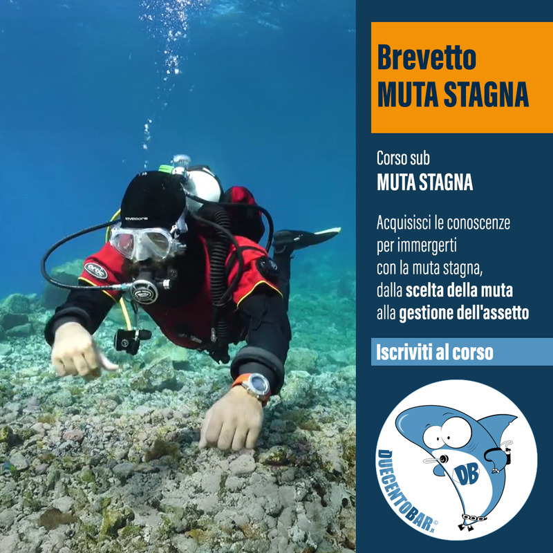CORSO SUB MUTA STAGNA