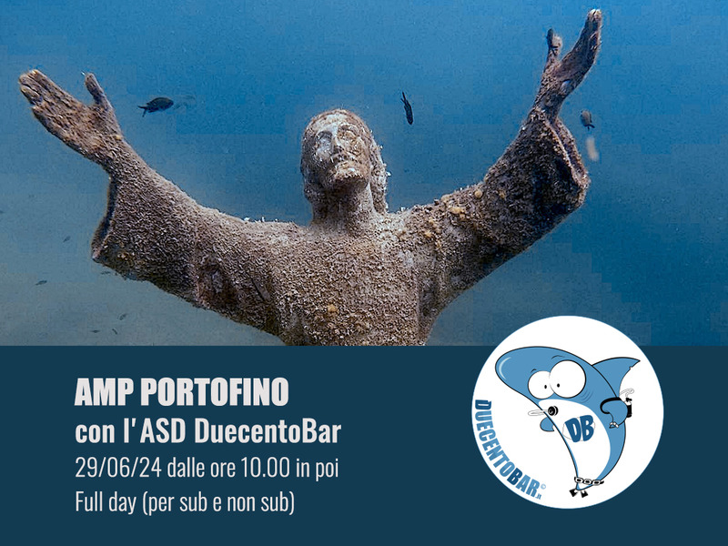 AMP PORTOFINO