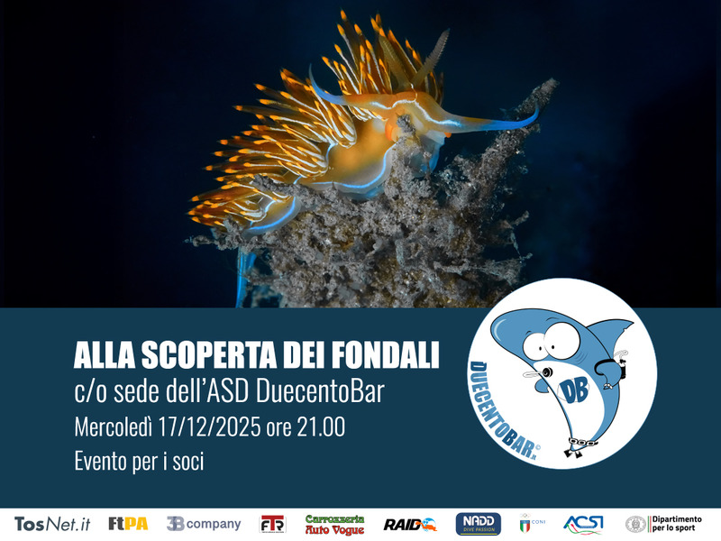 ALLA SCOPERTA DEI FONDALI
