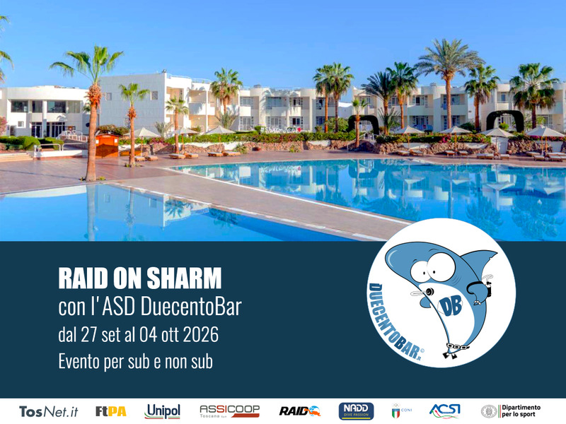 RAID ON SHARM