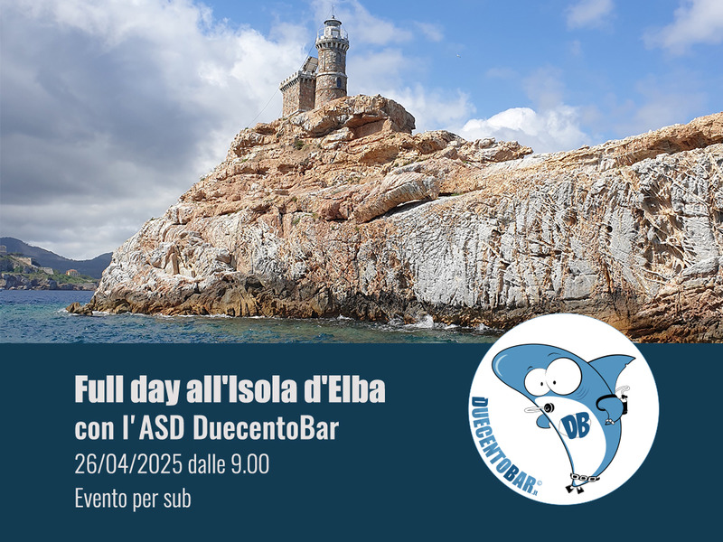 FULL DAY ELBA